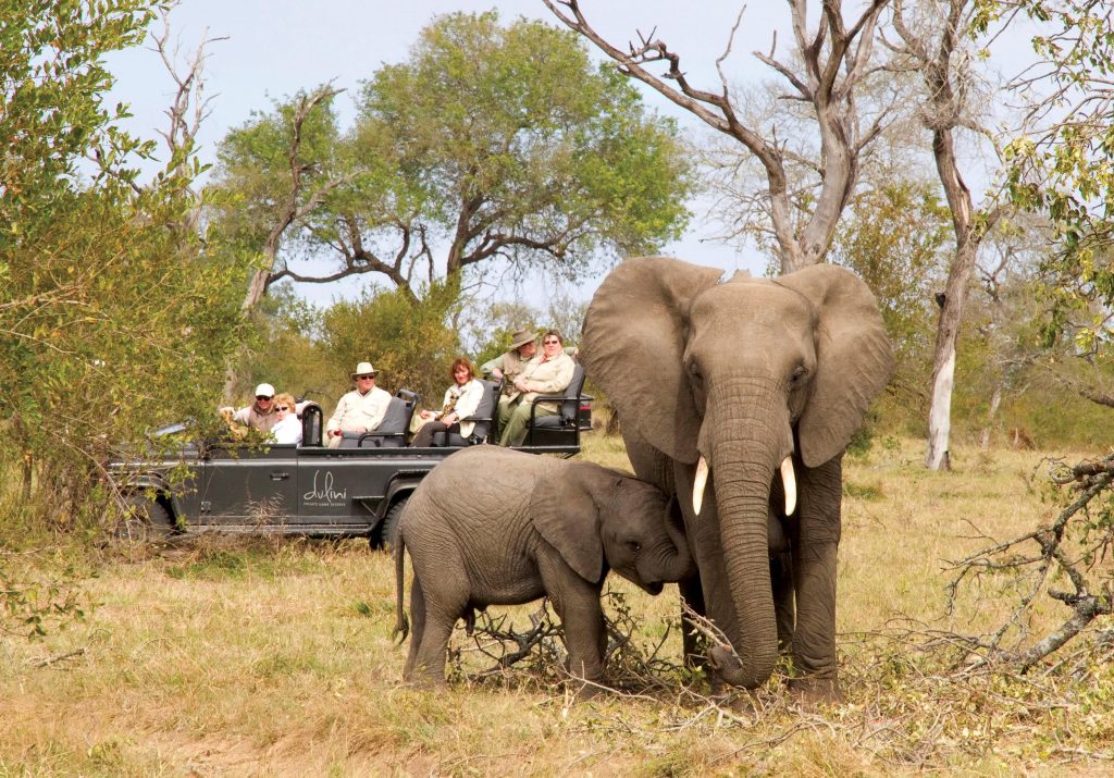 kruger 3